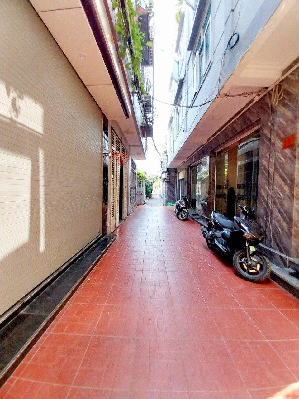 z5422103306069_64720904b5633ea98d9628ae418159dc