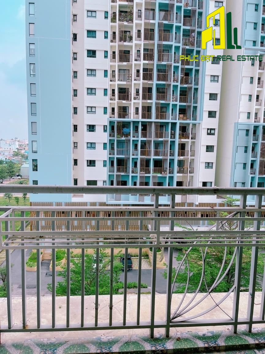 z5423236524639_b0035d8f0c5fd49057461e33430c4329