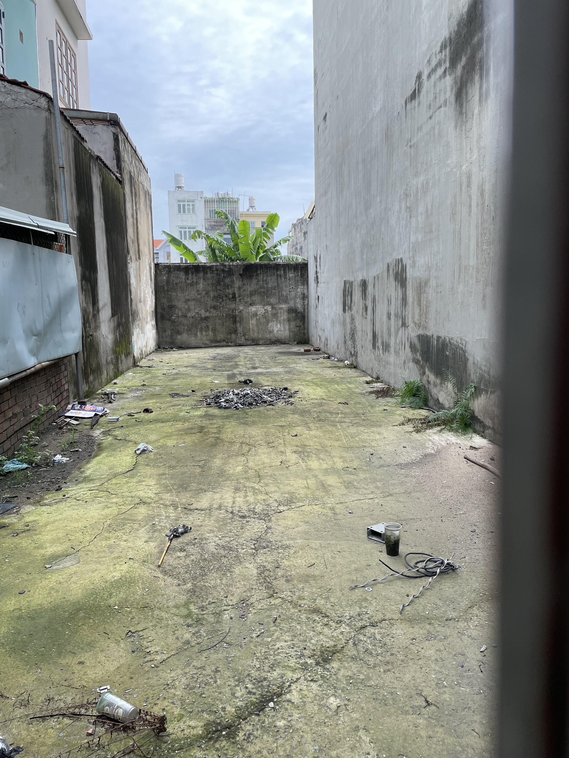 z5425408101462_1960ea3d998f0482098d774951b0de8b