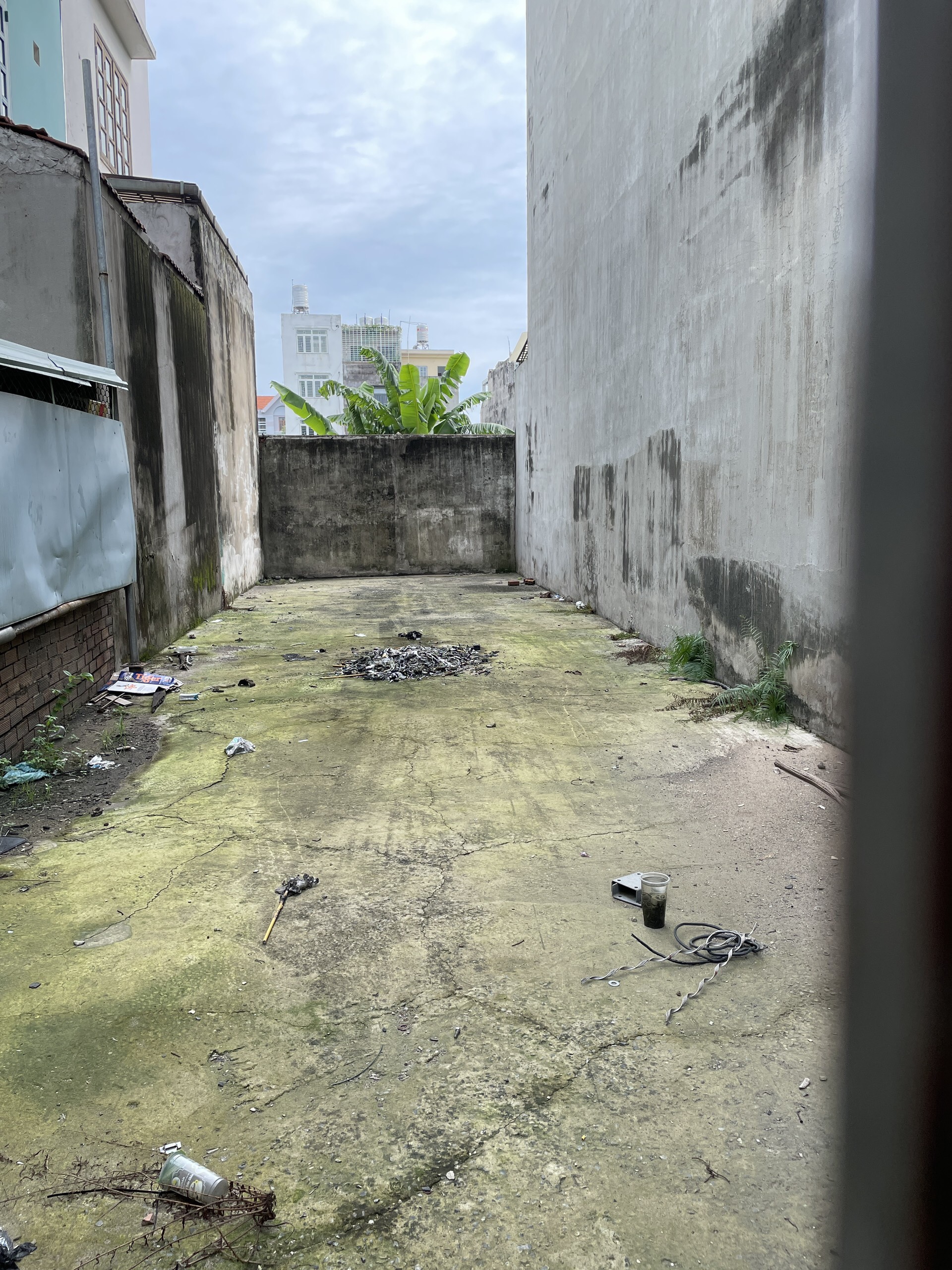 z5425408108903_df7325ec5911338271a1f85b9c6a8b22