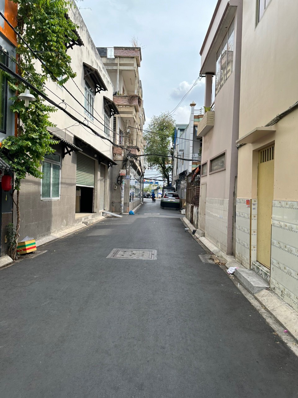 z5425922989752_624010ea1df33583a7c7e93769029ef0