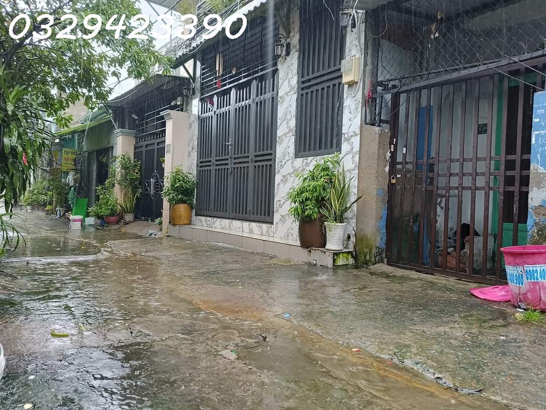 z5425963053510_07ef65c81c618e309a9313abd3e2ed11