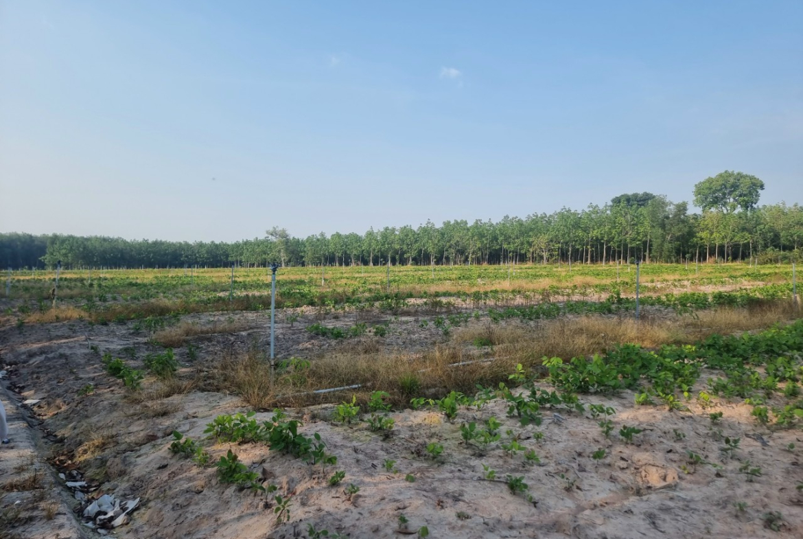 z5426359697961_b7692572d2e1f0a8241f812b16f4ceac