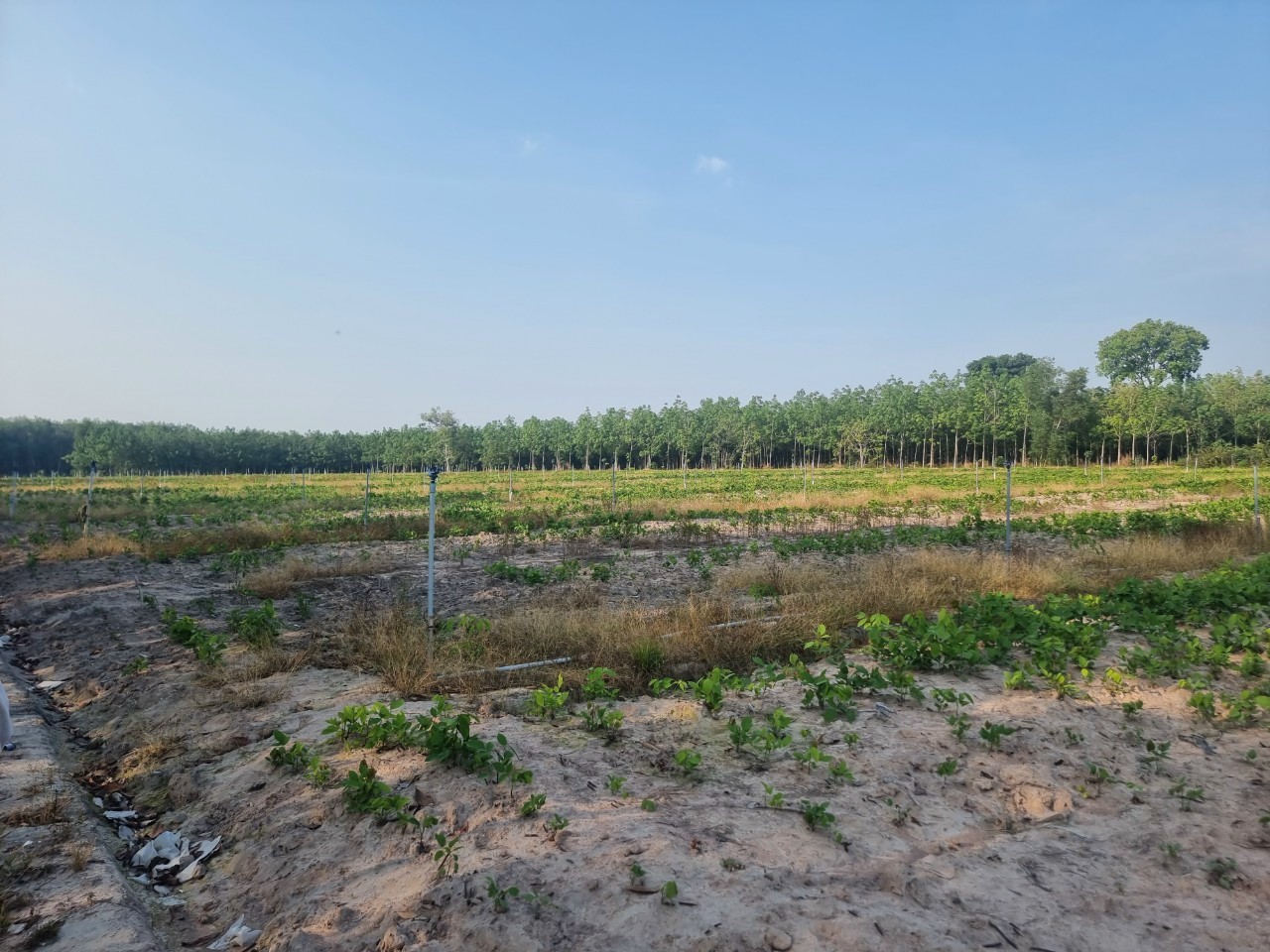 z5426359697961_b7692572d2e1f0a8241f812b16f4ceac