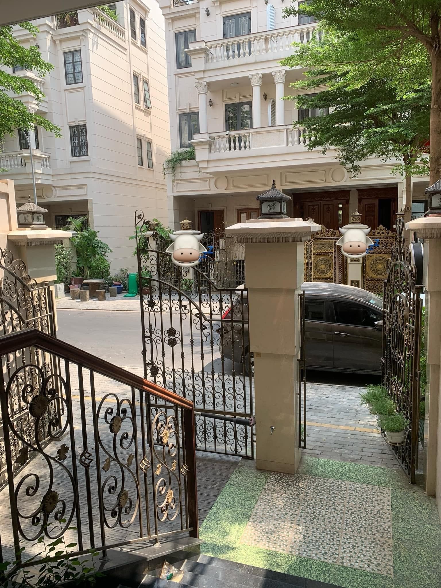 z5426696318069_9d97579b5db03b7a50b1b9fc5ba514ca