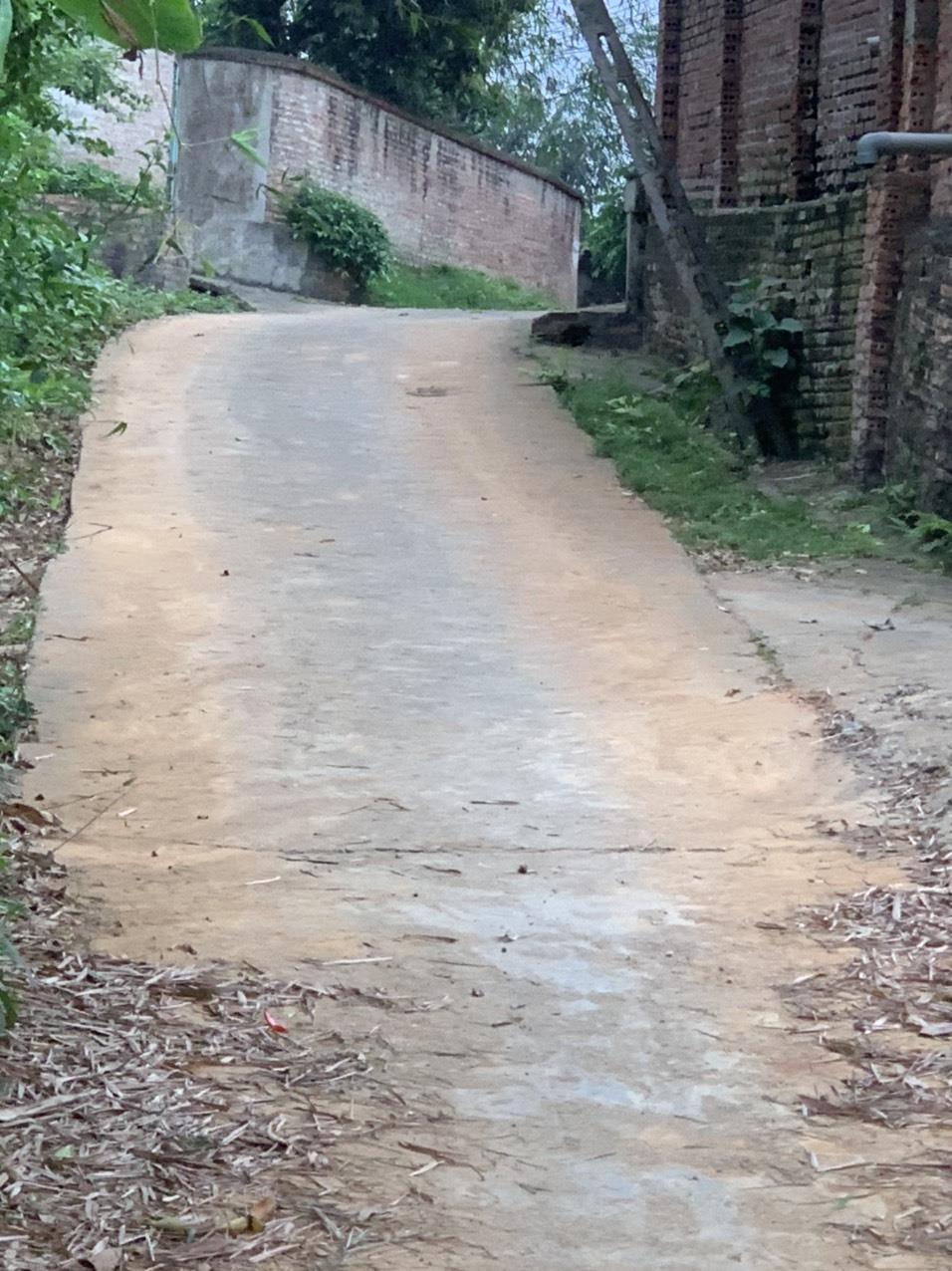 z5430770691732_87f4aa34a31da444aa77ce2b29324246