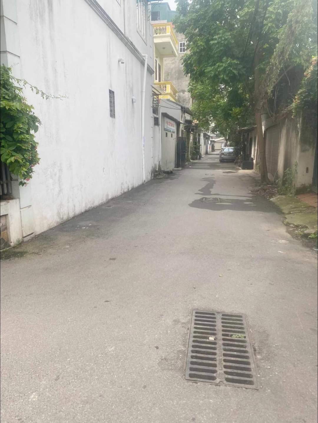 z5431279756361_64e8f35f6dcf730c2c6d211cc4ebb908