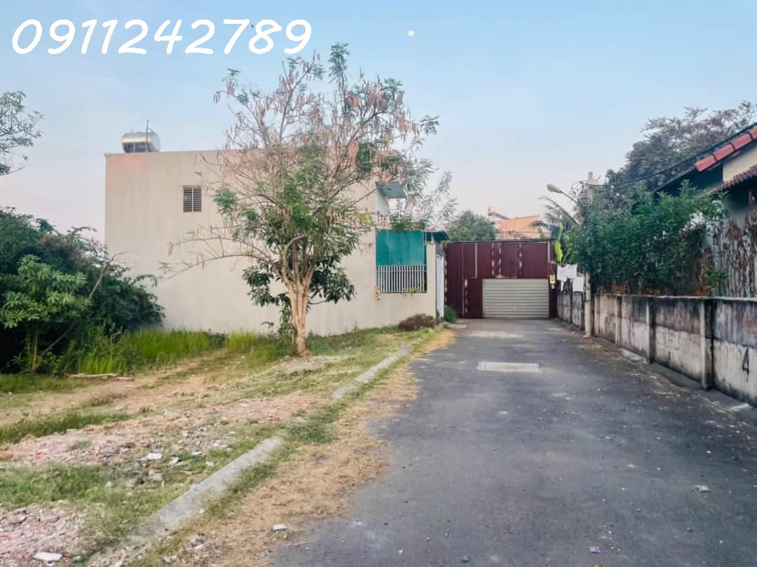 z5431471975635_9753c7c653ee349c03620895fb6f6f65