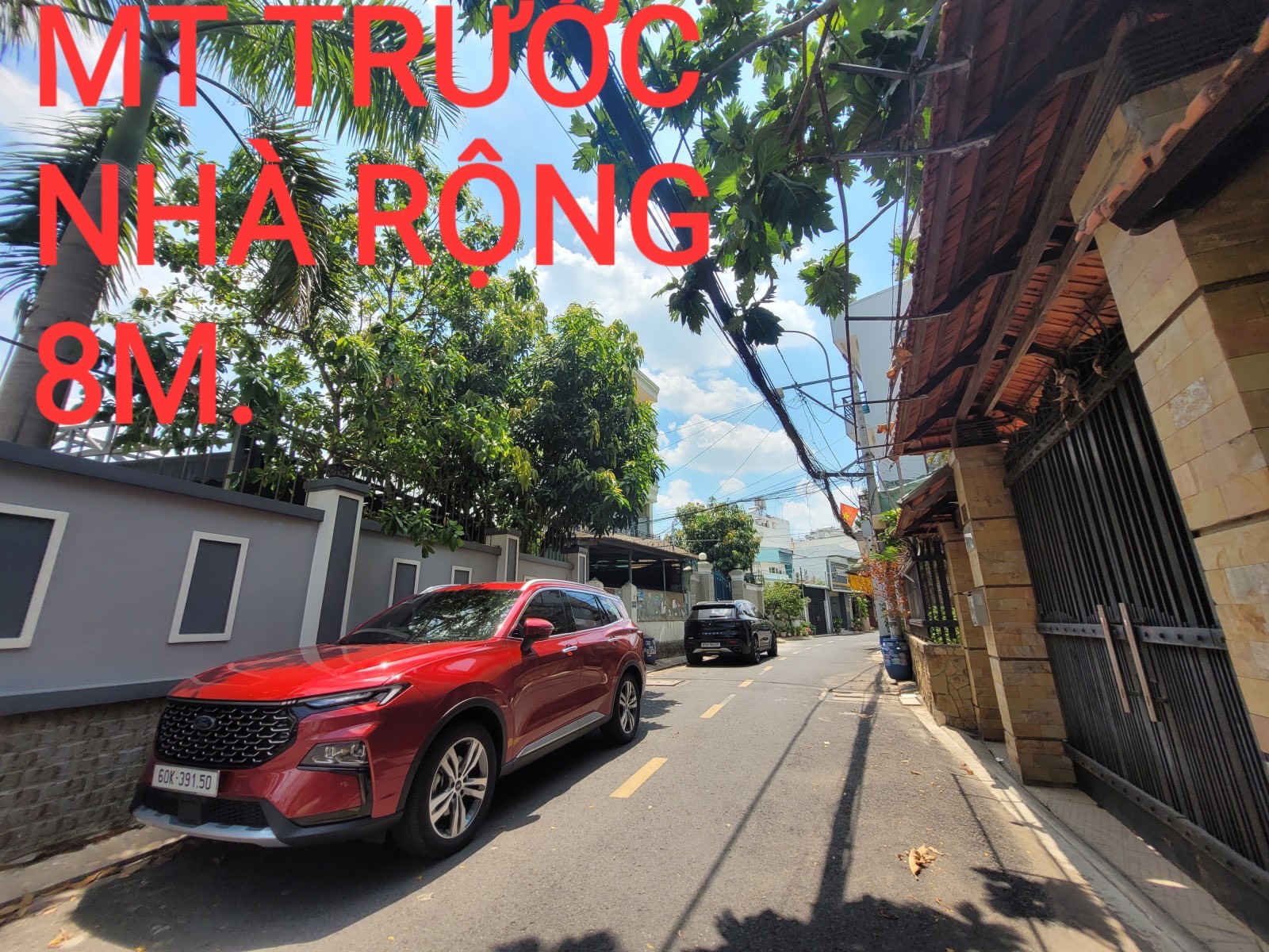 z5432080537684_edafce15629b2d531777deae4ca4ada9 (2)