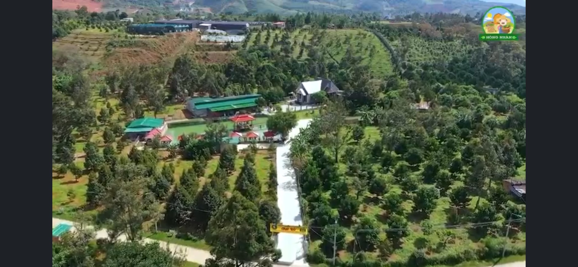 z5434843402742_630aea695c06148fbea0ae75cbf0144e