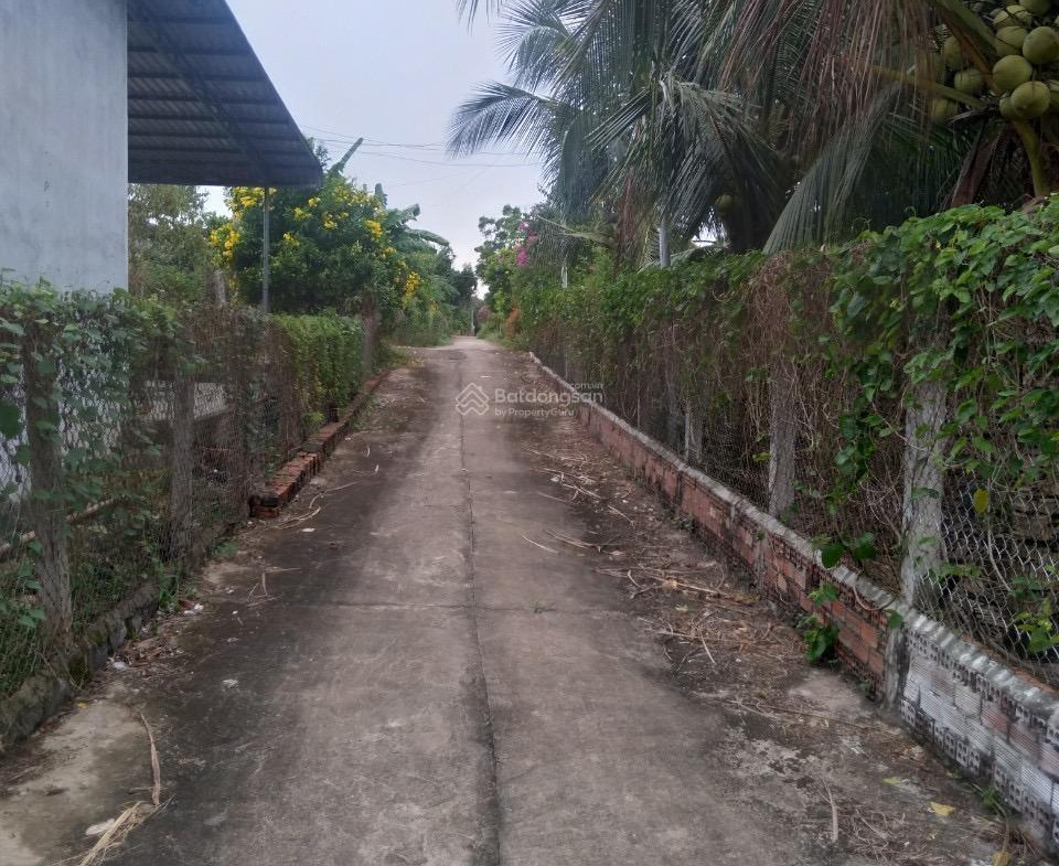 z5435018174609_c6dda4847b4e42e1eec7925f50e31a17