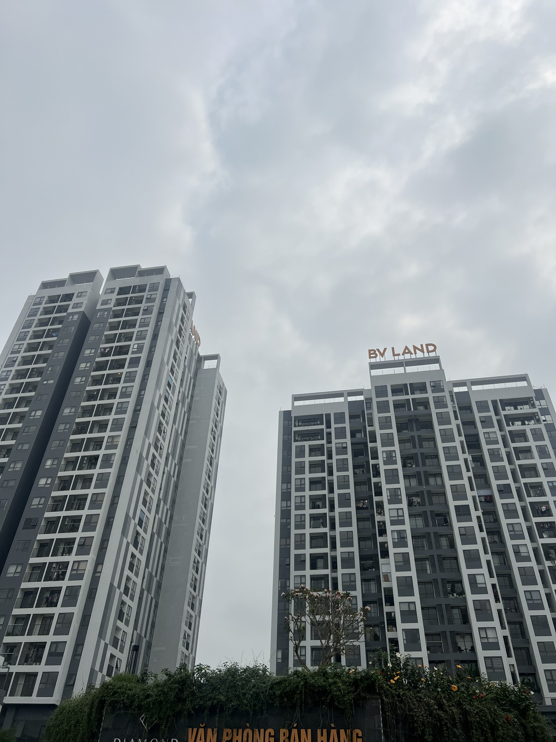 z5435047894089_f7441a26b0425c3bcc21b5e45a73f33f