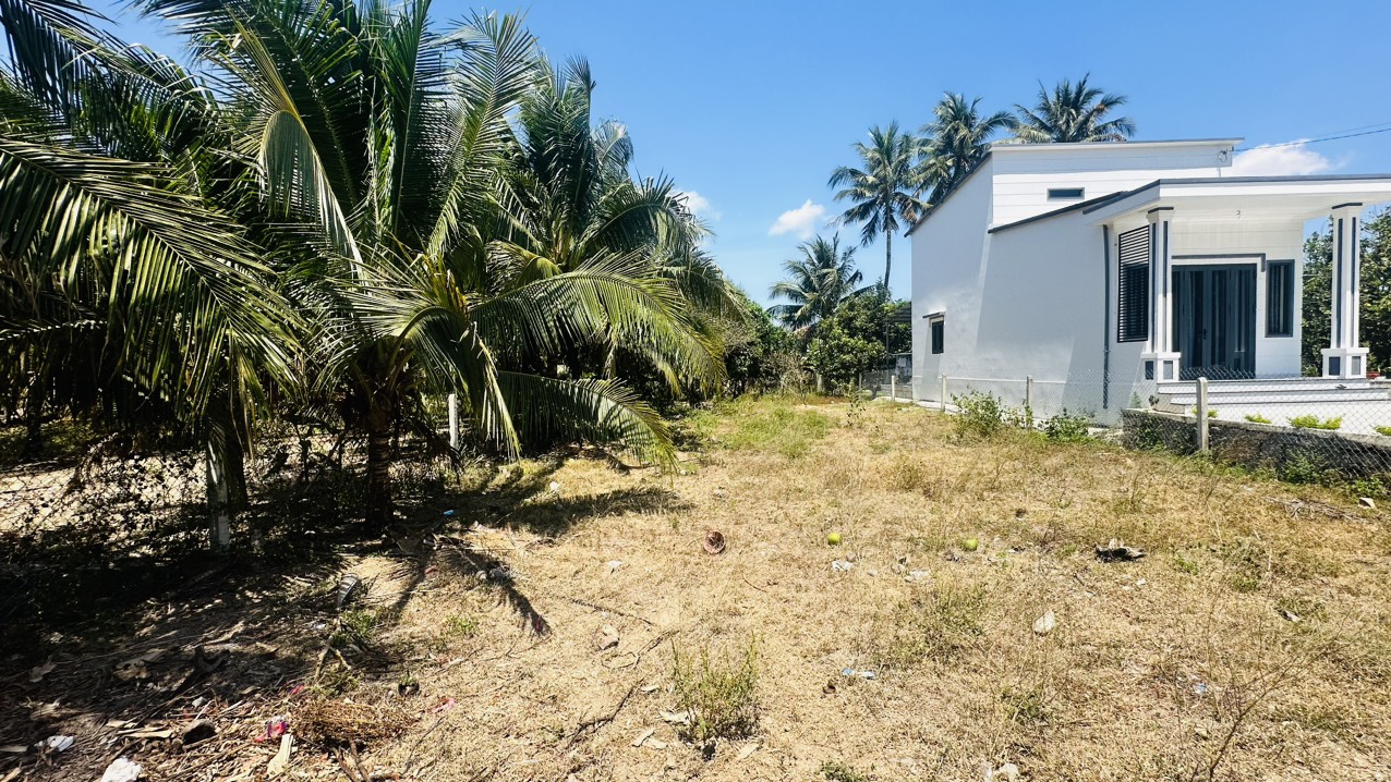 z5435057446021_cf3f260b4f0dd650047bc7ff6fbcb390