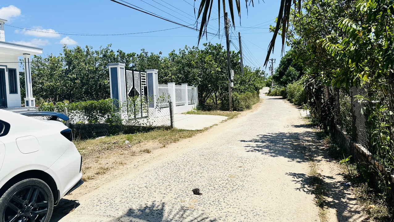 z5435057457717_320b8e77cae1fb5bfa6a43536f1db22e