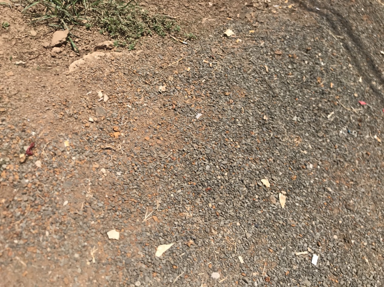 z5435273099336_b3c65346bbad3b42550ffa4d3af677fa