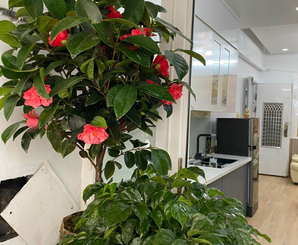 z5436430467840_b543c8242733aaeee1d78606d6f5ec6c