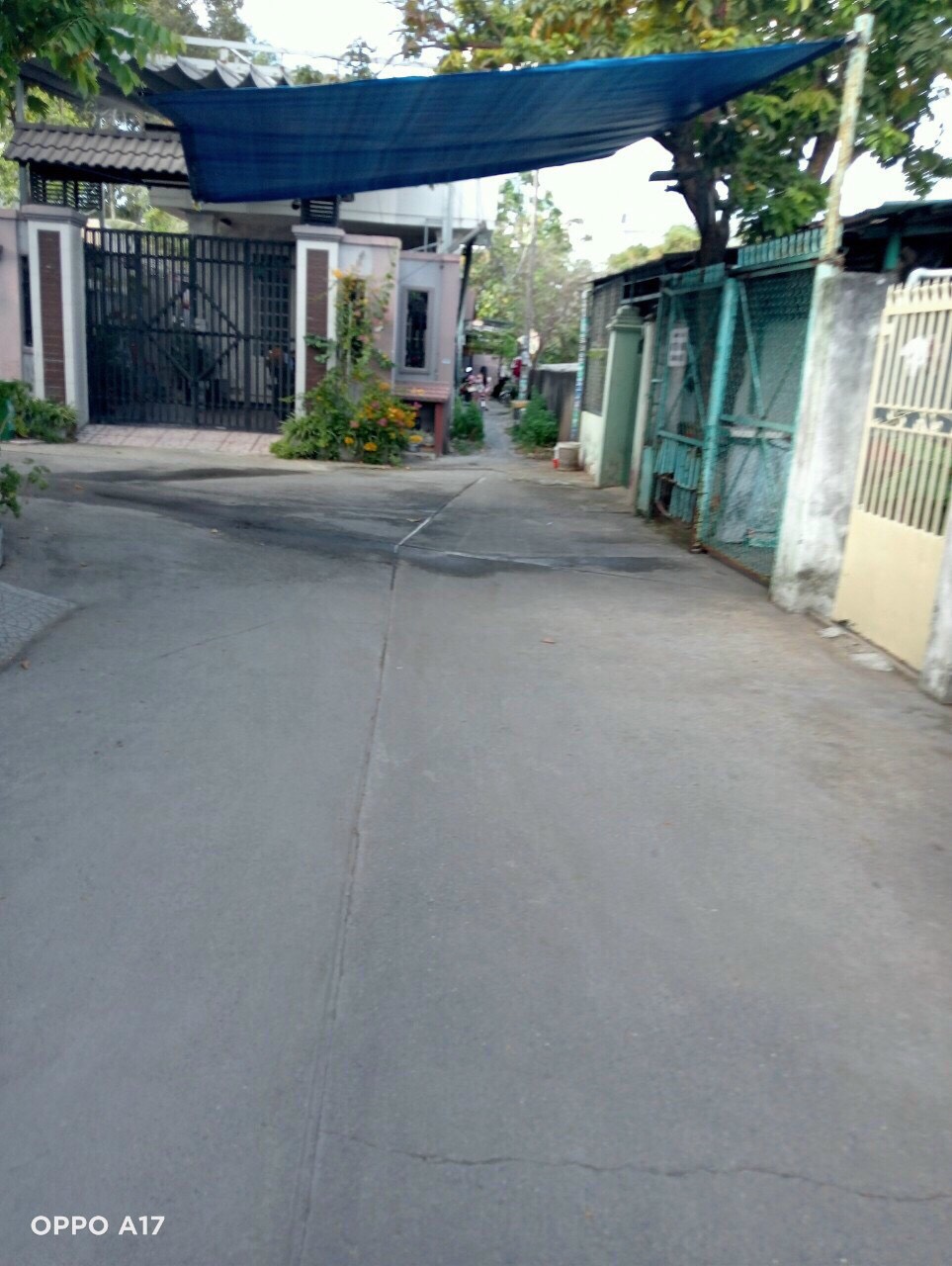 z5436435521885_ceb87e42887d1a245f0a5920c944e4a4