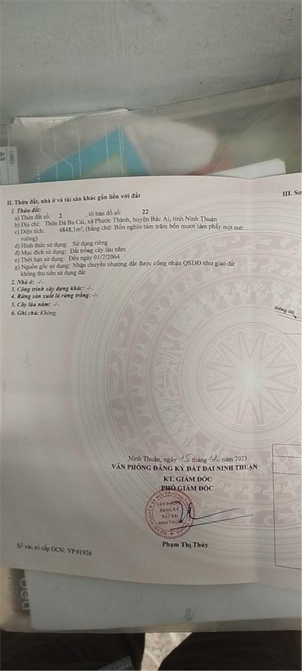 z5442297497509_83686db68dd7914e73068eba46965a8a