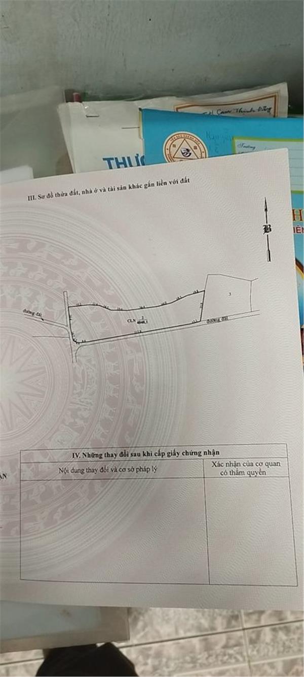 z5442297511313_b37427facf6d7e7aa2a58fefcf747ead