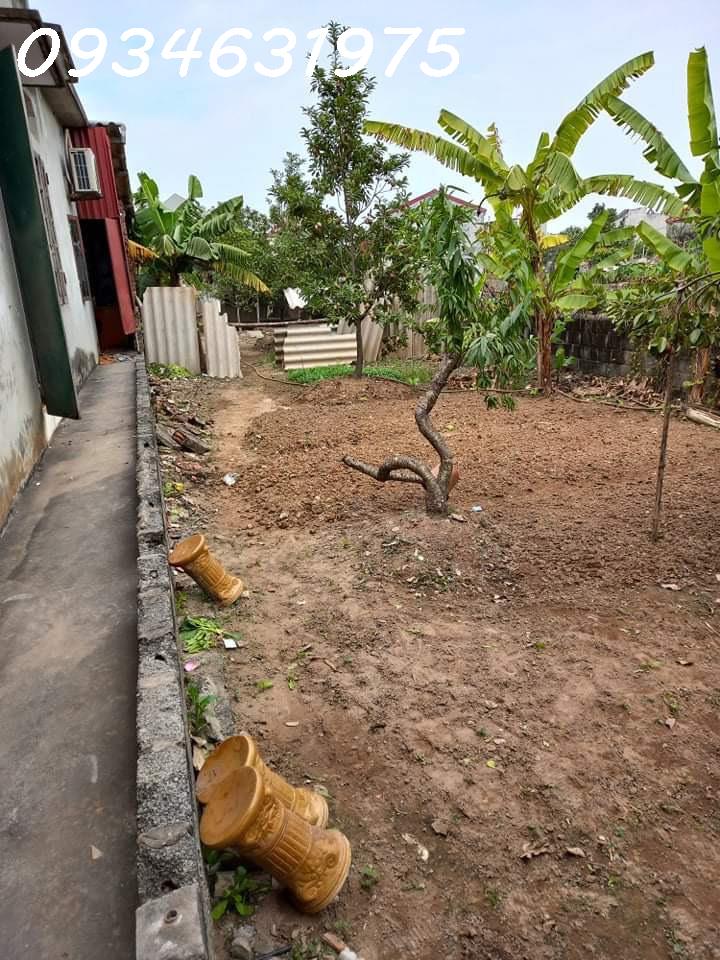 z5444922788183_b5c95de91004c87ecf28a2ef8693fdcd