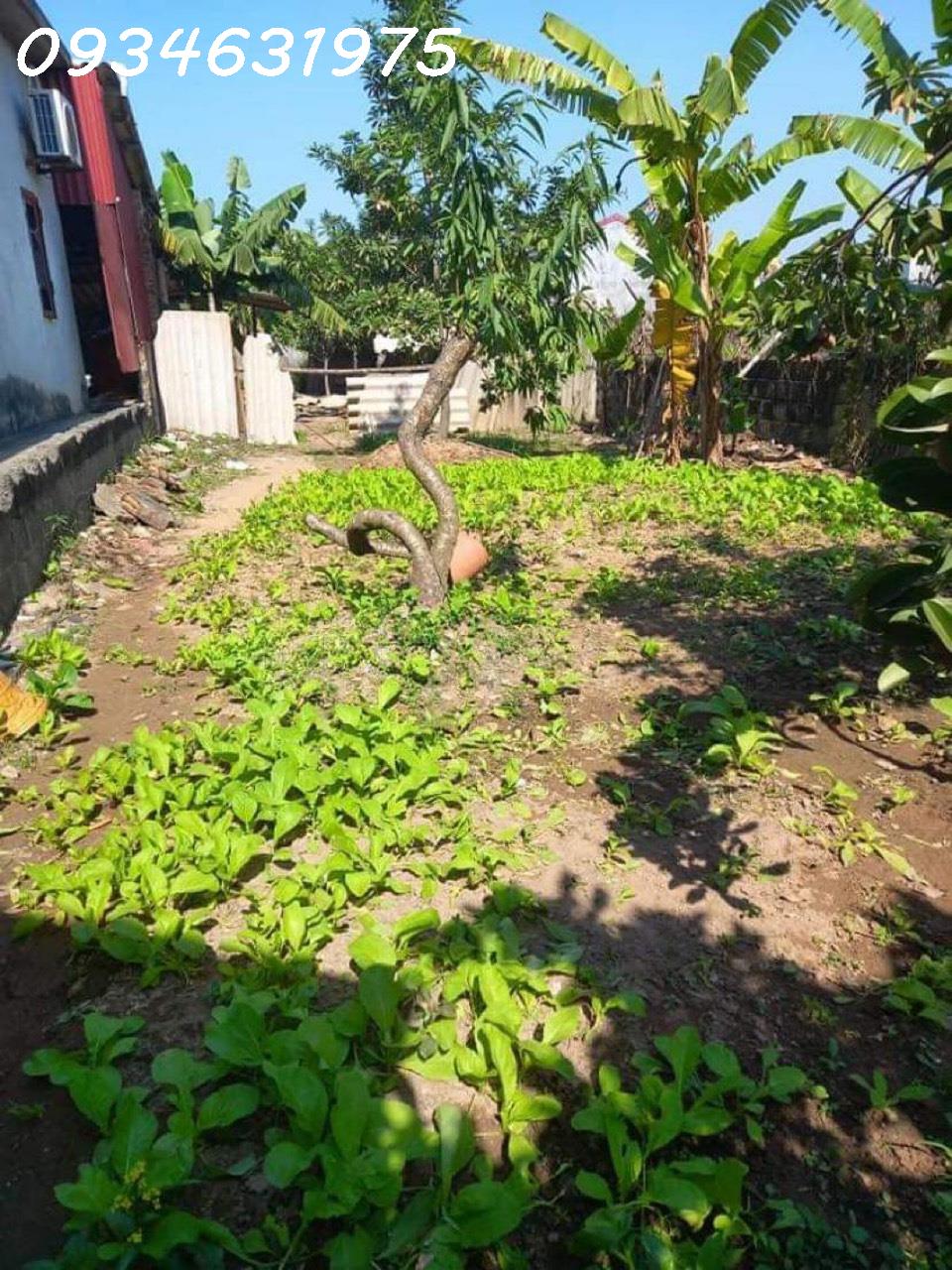 z5444922790029_f24cfe529693f126f3a161a4fd2a75fc