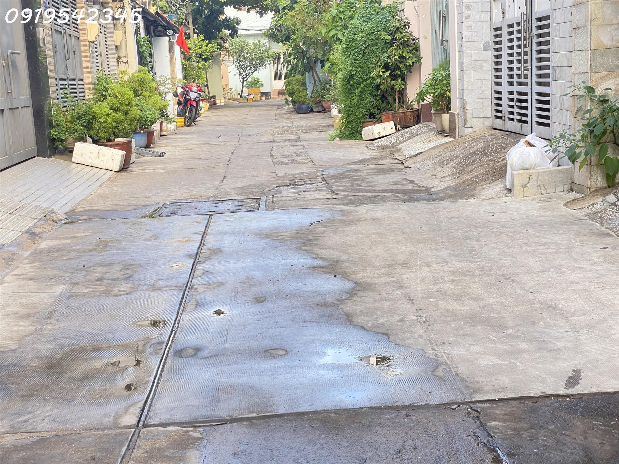 z5445413923126_717fada7fec17f91860c7fa264a41fc0