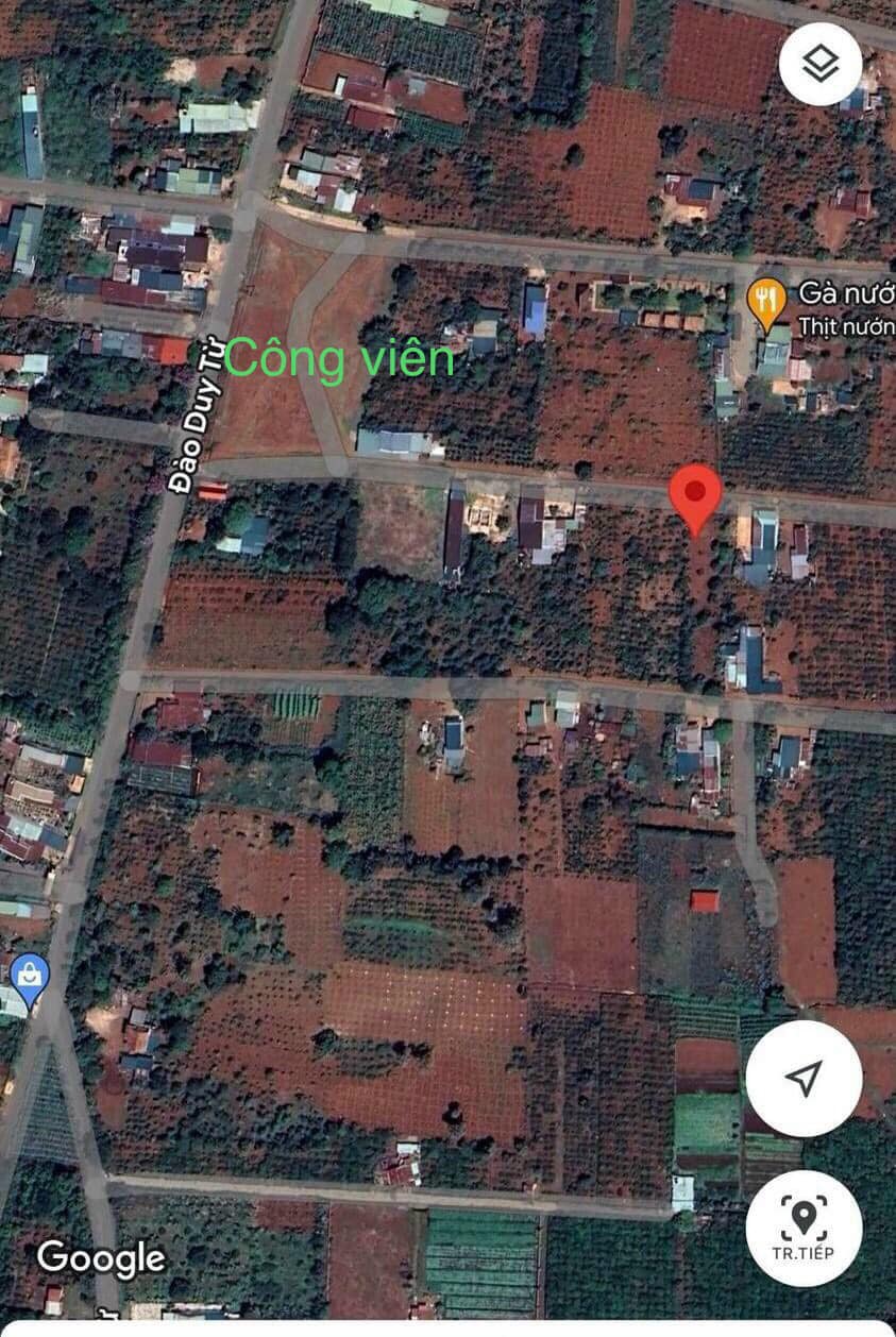 z5445505010859_a75fdc49fb46116dd0bb292d03c532f2