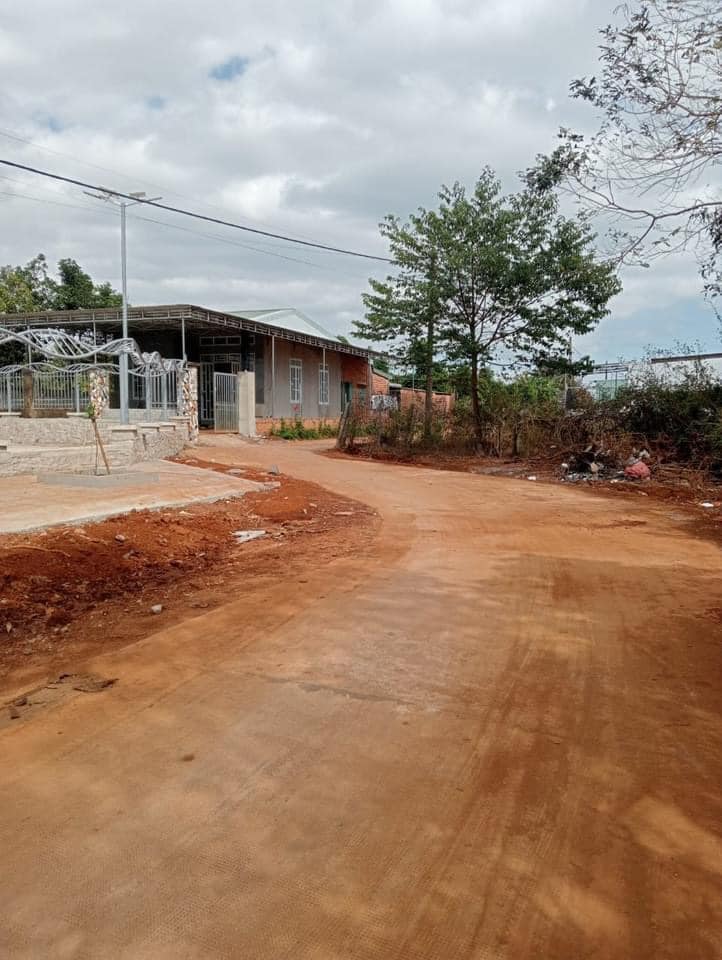 z5445505010966_1ceb2b8c8cc80e26ff011a0ec12cbc78