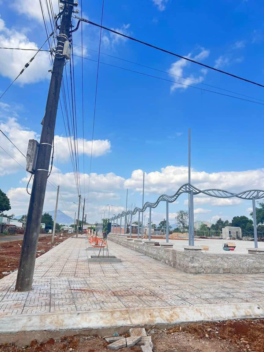 z5445505010976_7dba6f5a255afc12c6be86f6e744c833