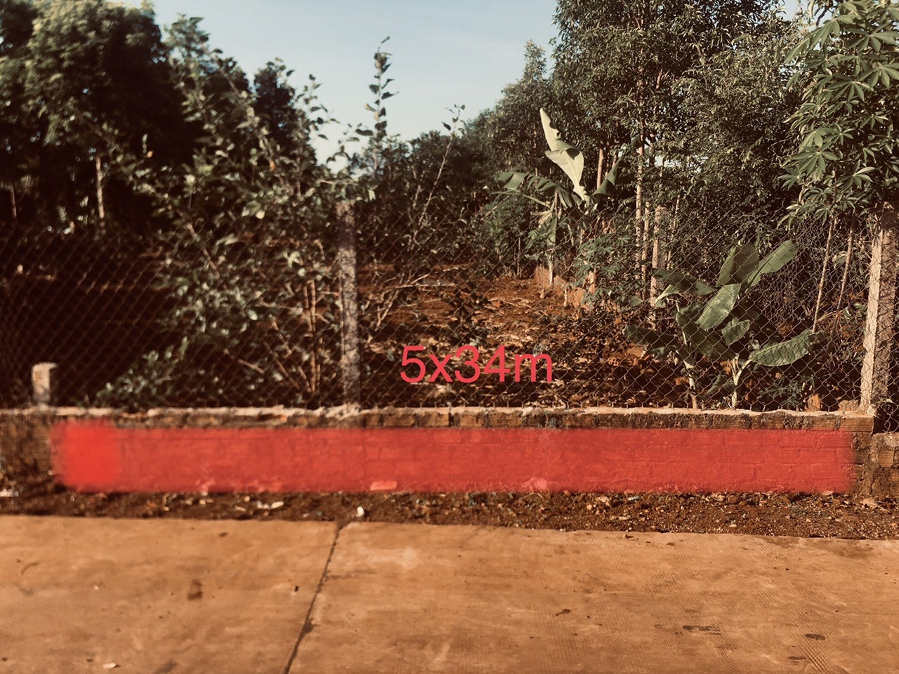 z5445505010979_37e7ffe5bbb9fcc2c83e9cc8e75f2cc5