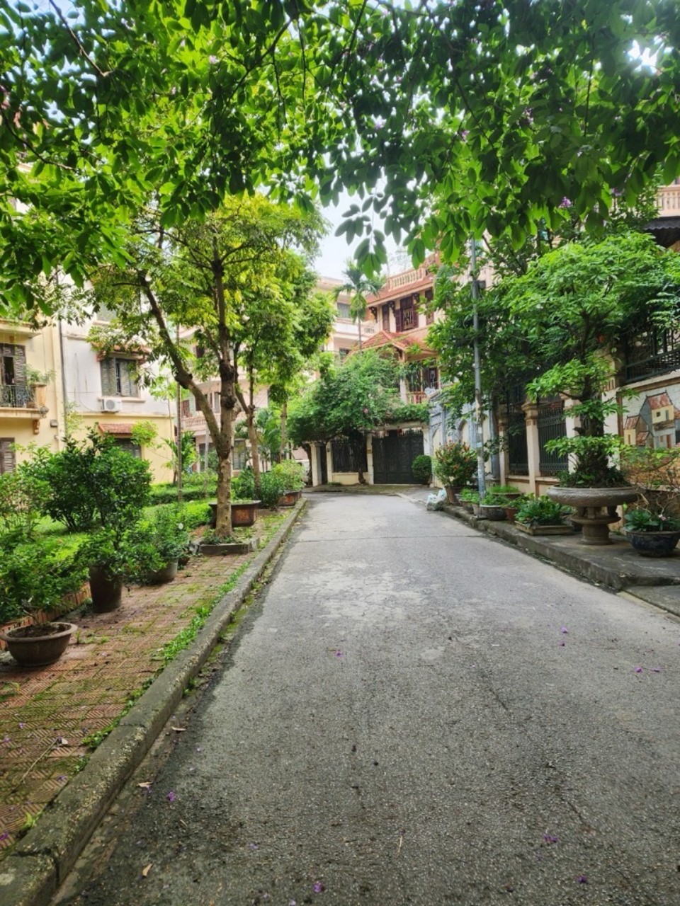 z5446175307429_2a5d28a6ff9057bade37a6a7c53ed3c5