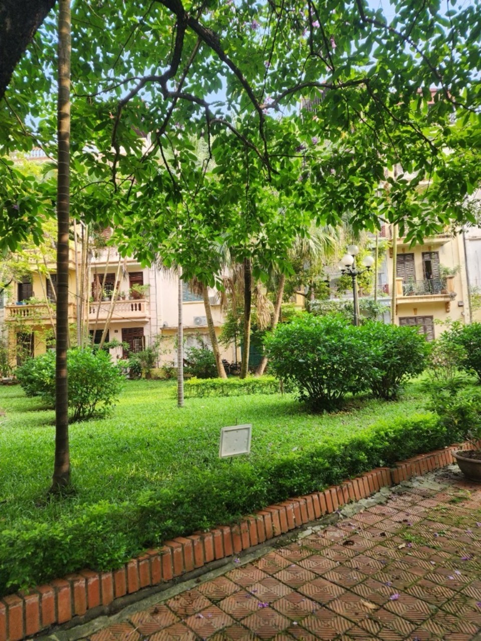 z5446175307688_a5fbe06aab641e5b644ede42258b0cac