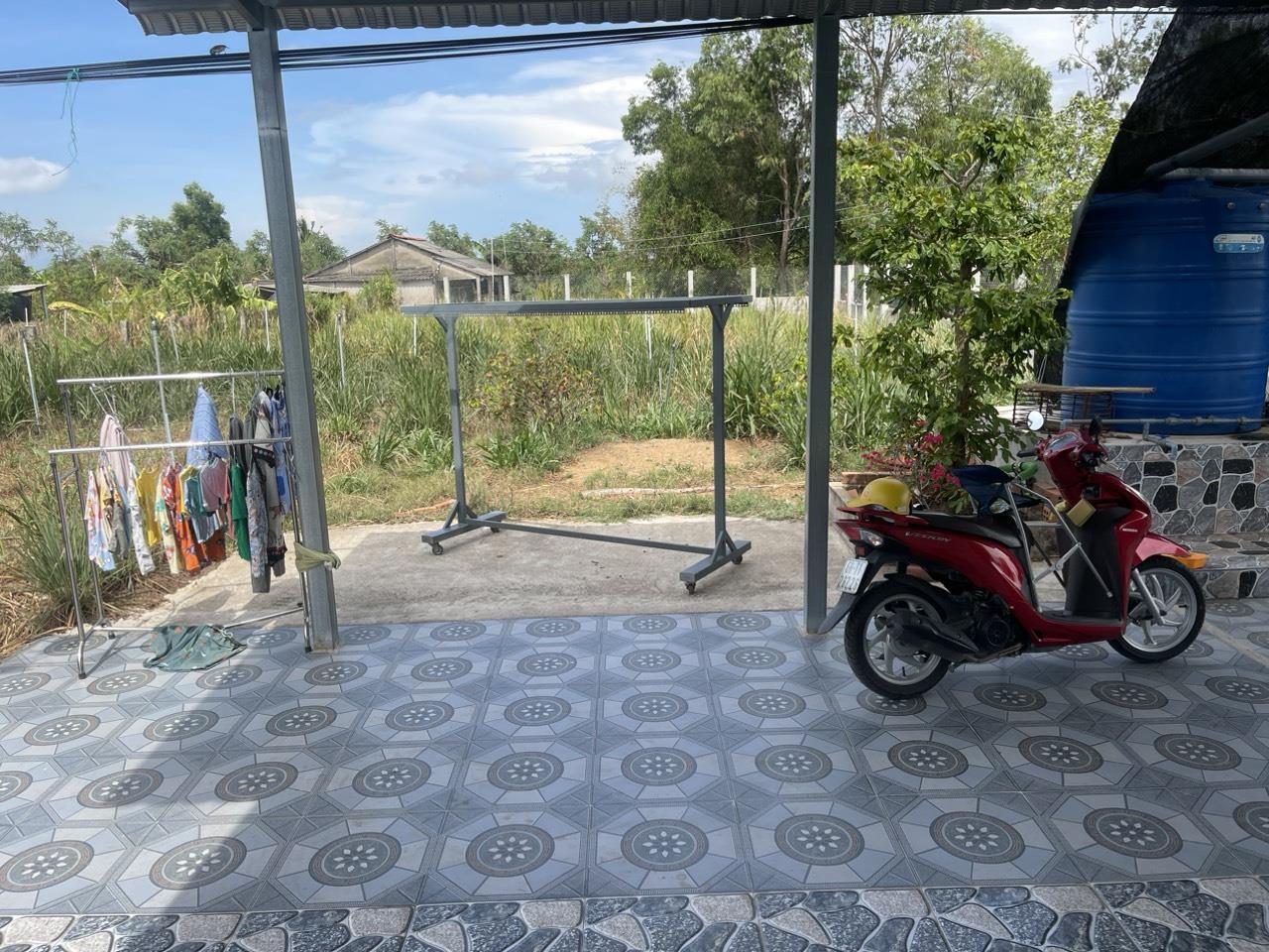 z5449819910818_6d22d6c73f76edaf23bd5a5e154a273e