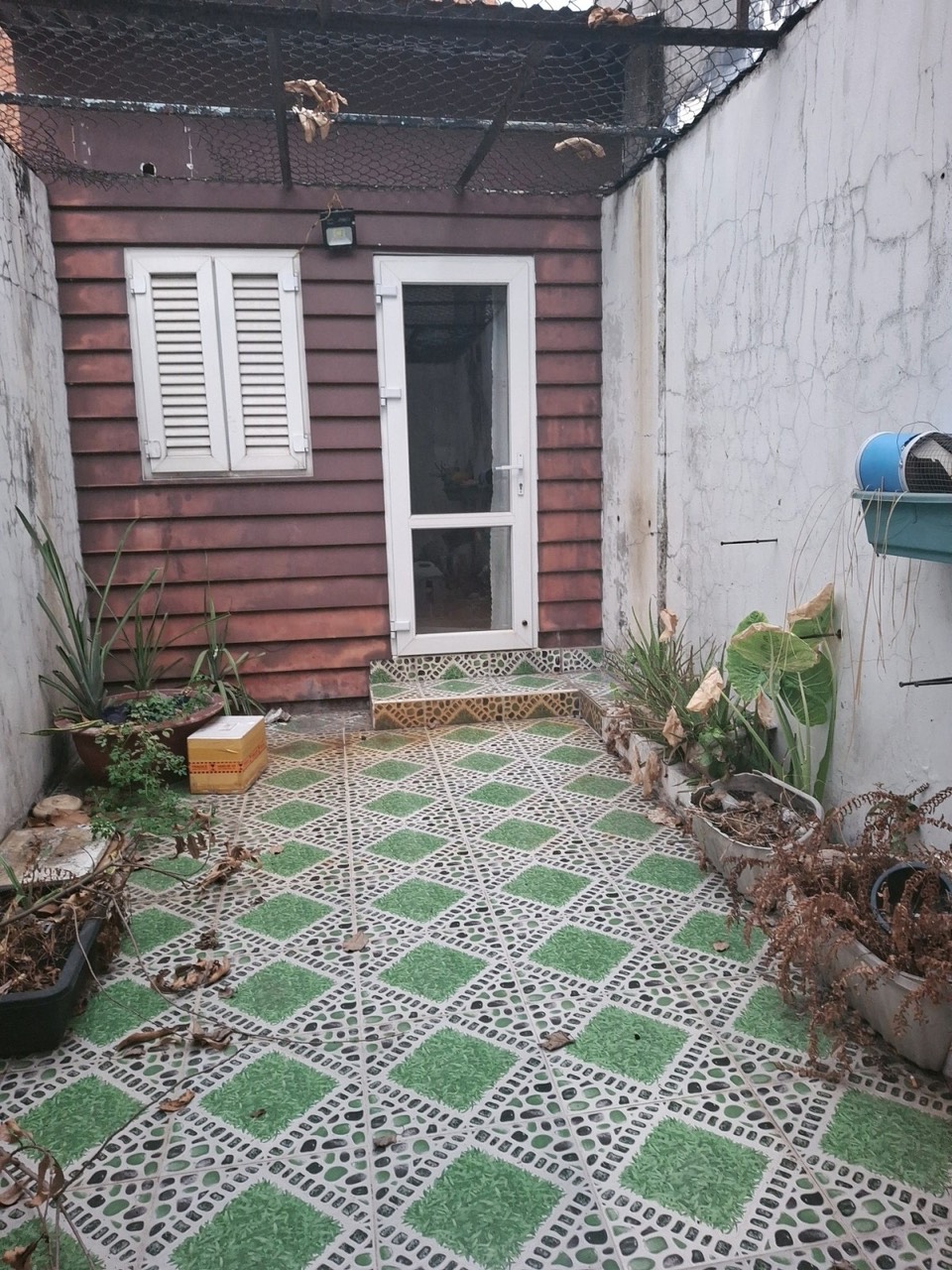 z5450990313038_6a2732b3e76de6a4d433045dc0bcb3fe