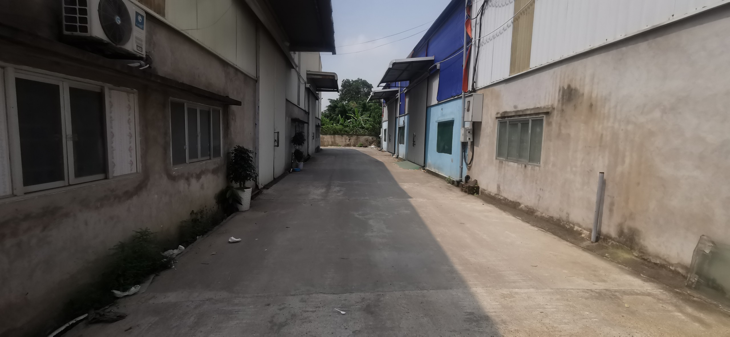 z5451519489794_1e0809209dc9550ecc8da43e9aca3d1b