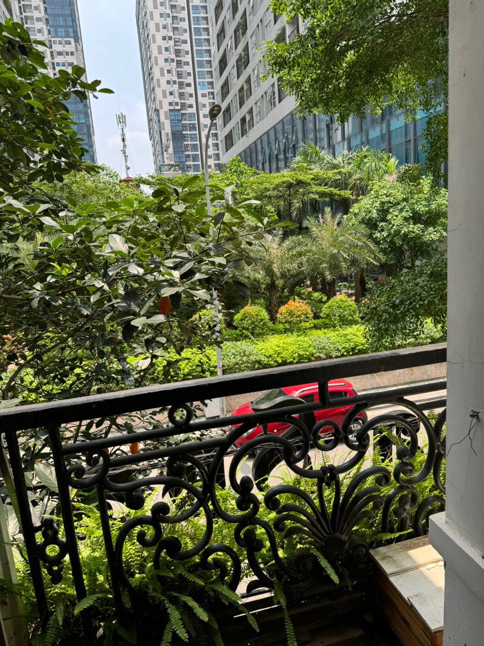 z5452614807964_a7724fde5896208d7774eb266d3fa5e1