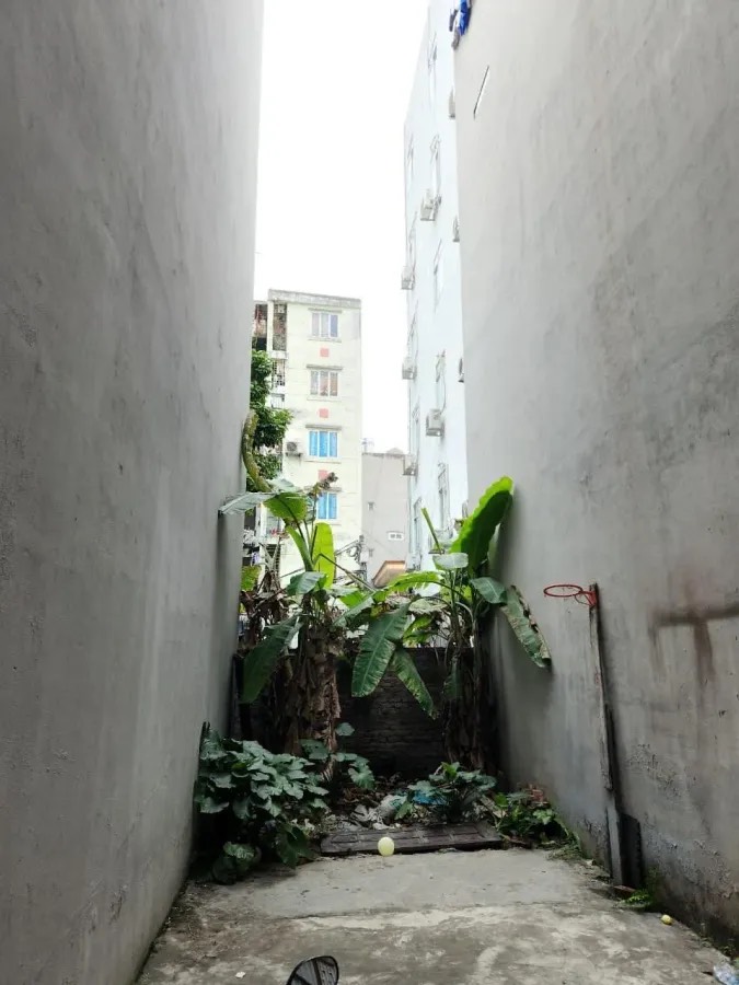 z5453123324077_07a462c11797828c141803bfa557e1bb