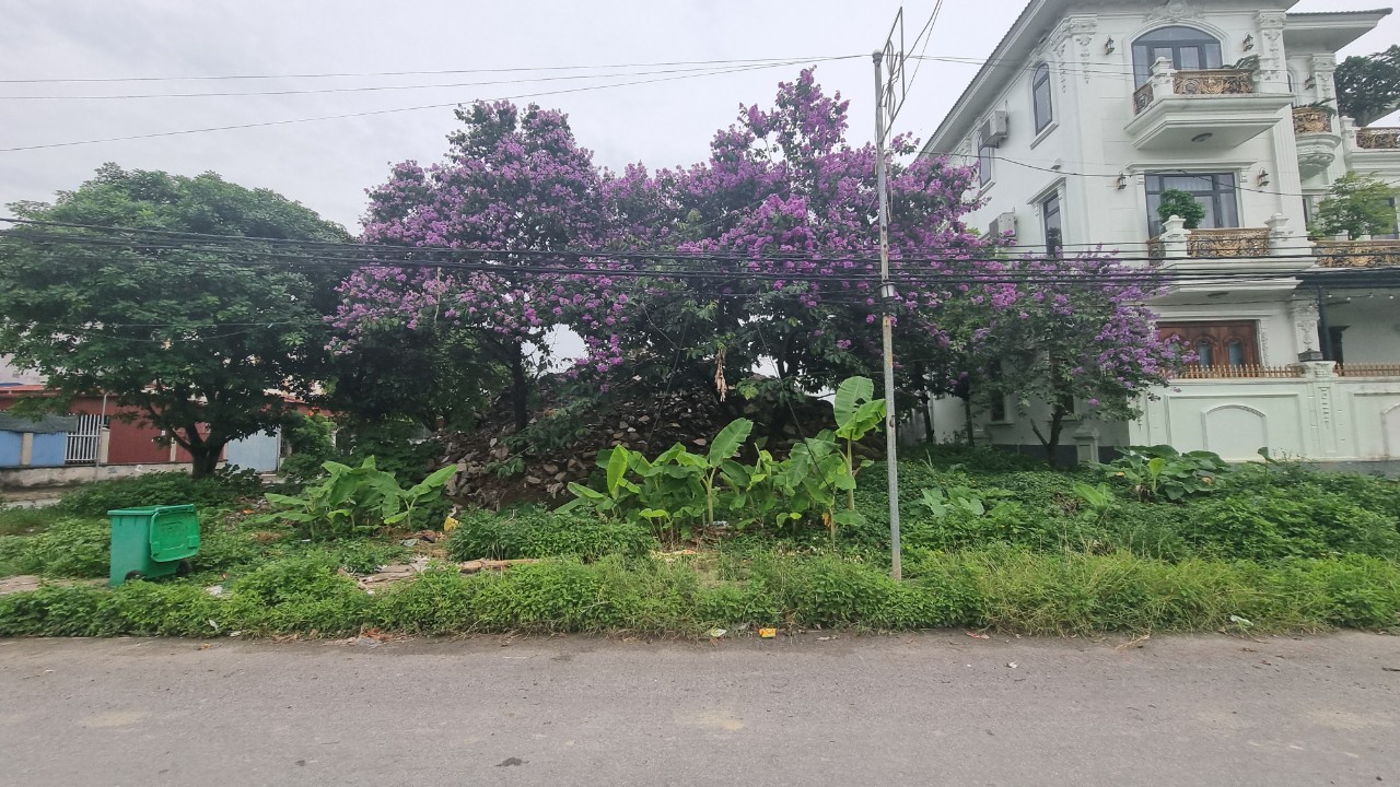 z5458637899595_871945b11eccd0ab219321d3c9b7c2c0