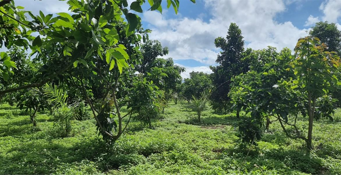 z5459555909579_c196ae643d626855f6b3ac64499ae57a