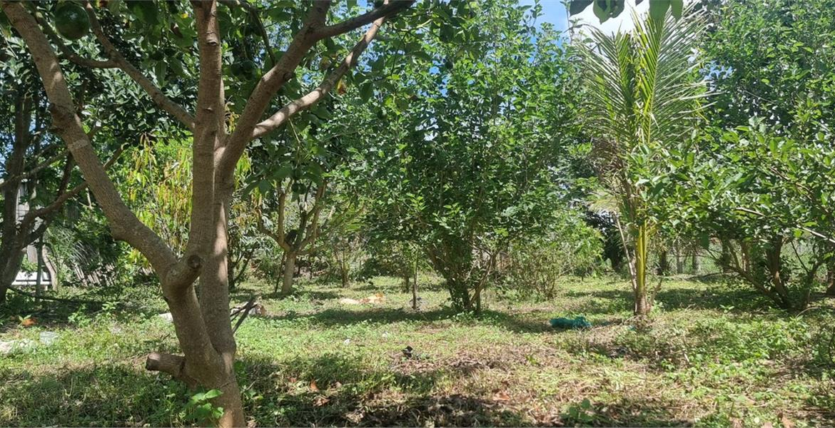 z5459555917880_4a3be4bc38a05b37cf475533d2db29f4