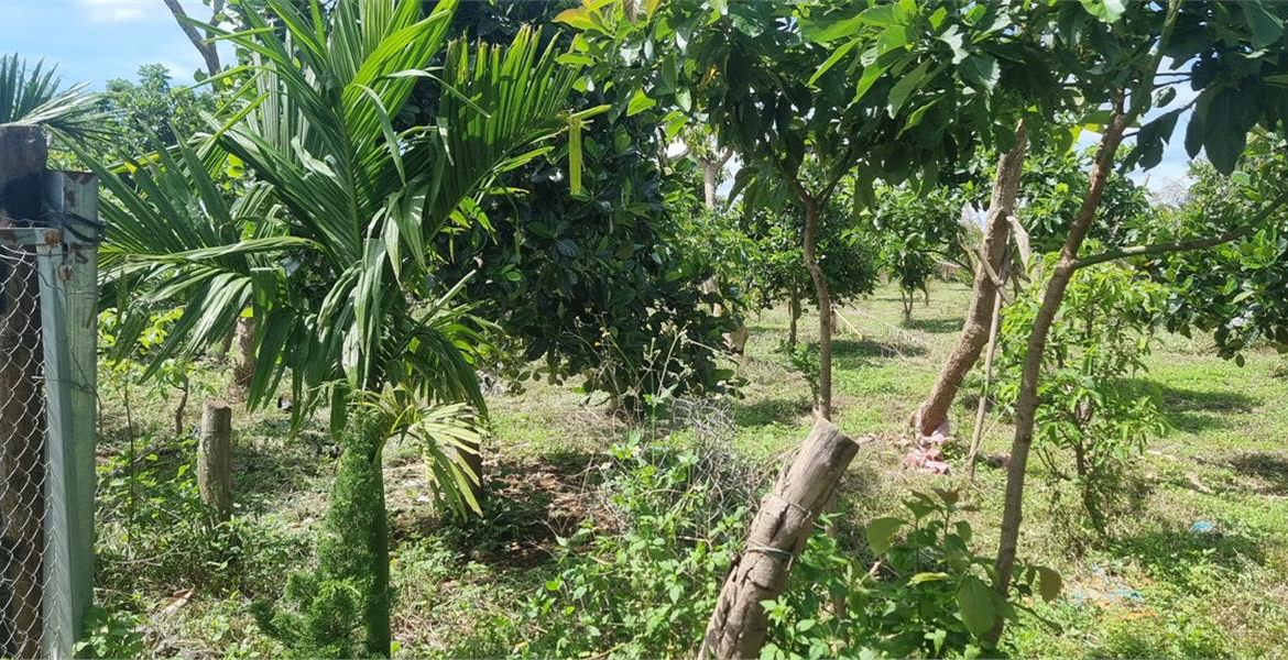 z5459555924198_e02302810243f4f4617db99897ef570f