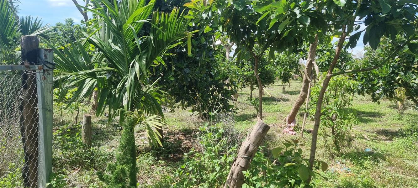 z5459555924198_e02302810243f4f4617db99897ef570f