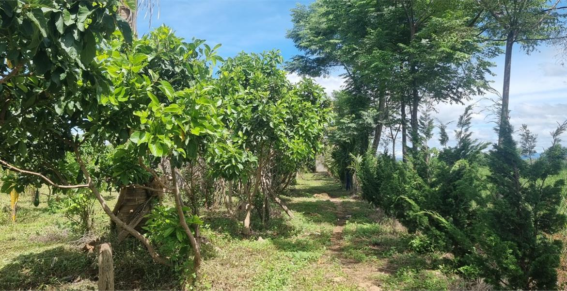 z5459555926402_177b61dd2e3694dee239dcd50ad7bef3