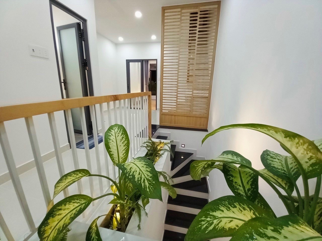 z5459842480059_1f6f1cea5e3fe6255e44cb2d3994e90c