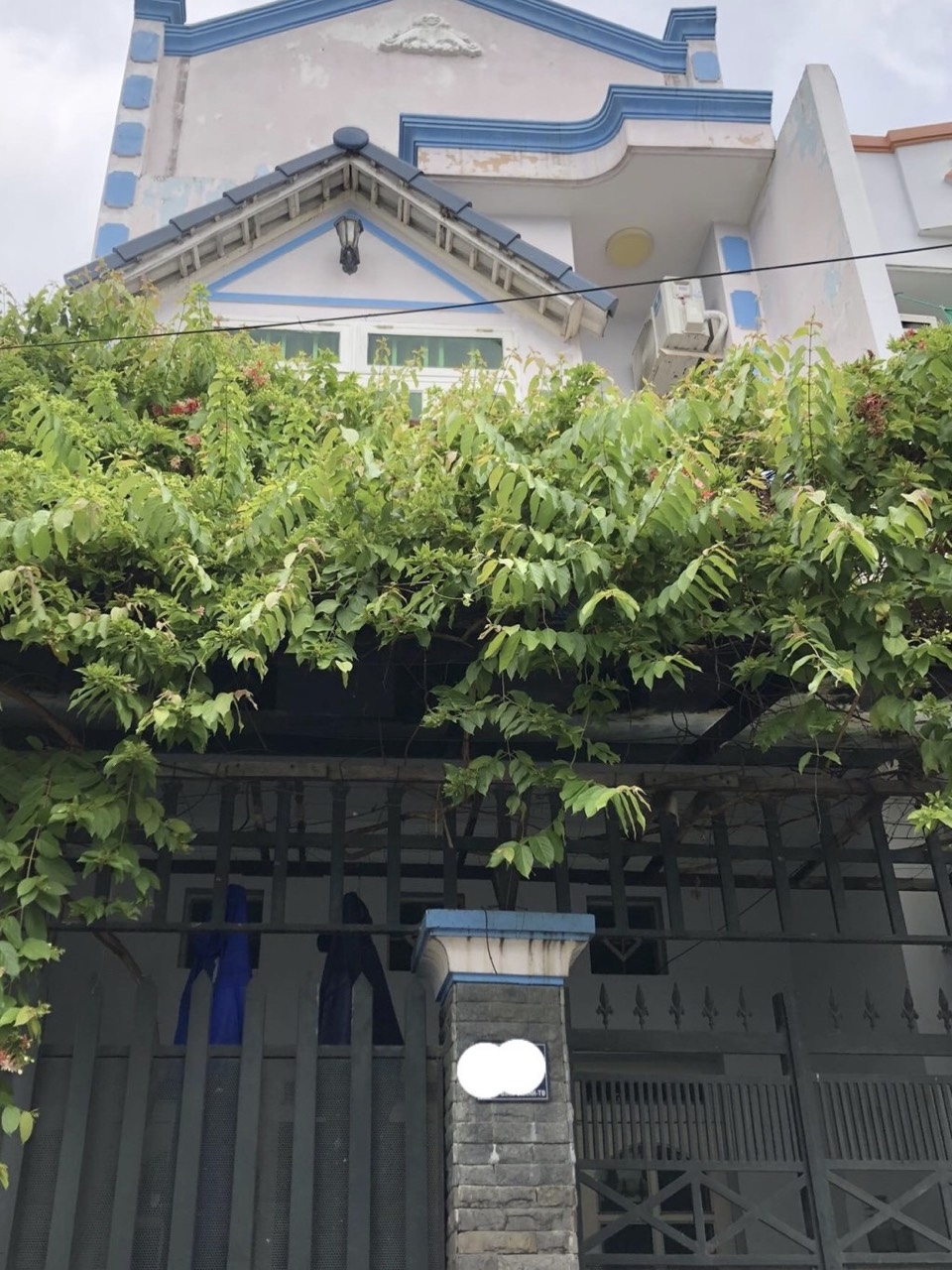 z5459925563528_0117659807ada7cba7c512af96faf78a