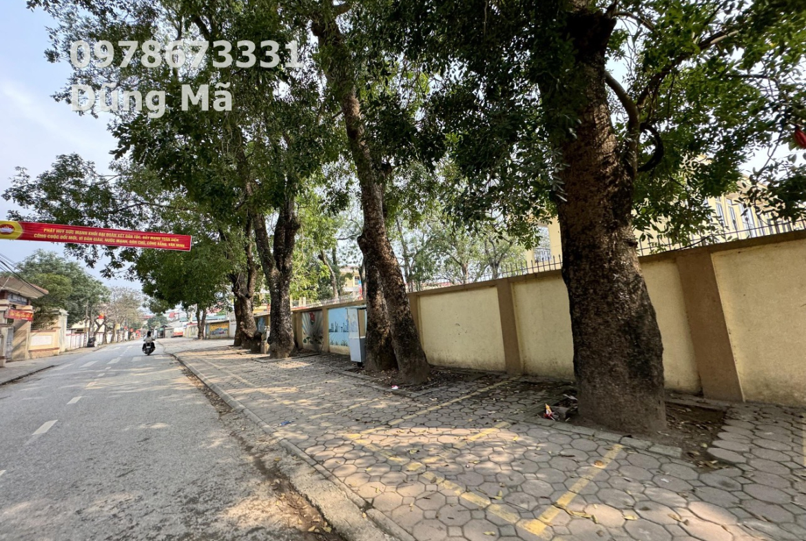 z5460674890532_920f4ede53abbd5e84928af76f32affe