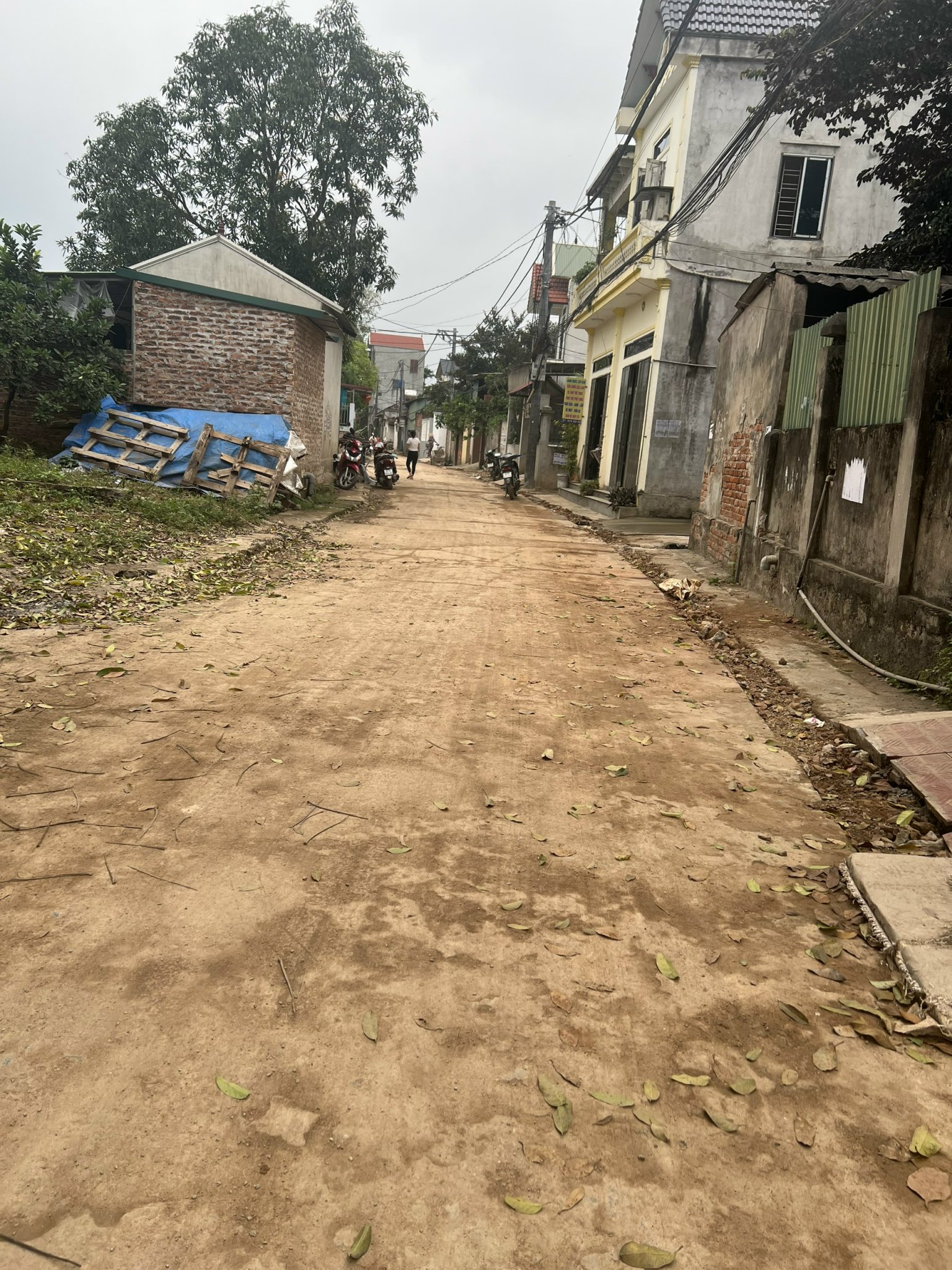 z5460703985987_d3d1f716c544bac51985810ef997f6d2