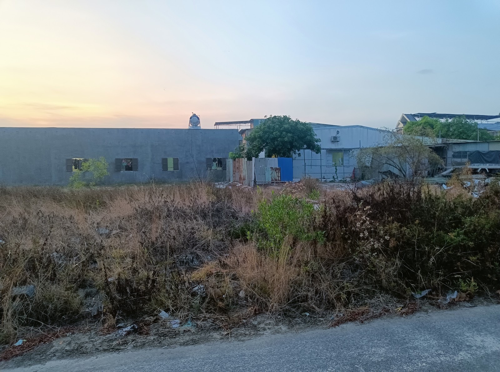 z5462397667488_bce3980bfb946d026abf49b4af7ee1e3