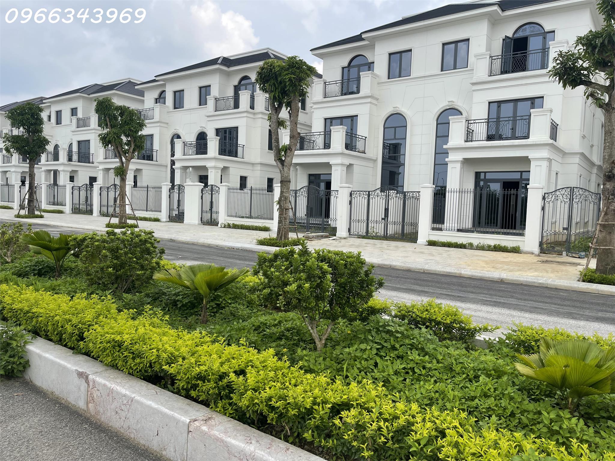 z5467251801421_5c90669868ffb270b5f78871c2088765 (1)