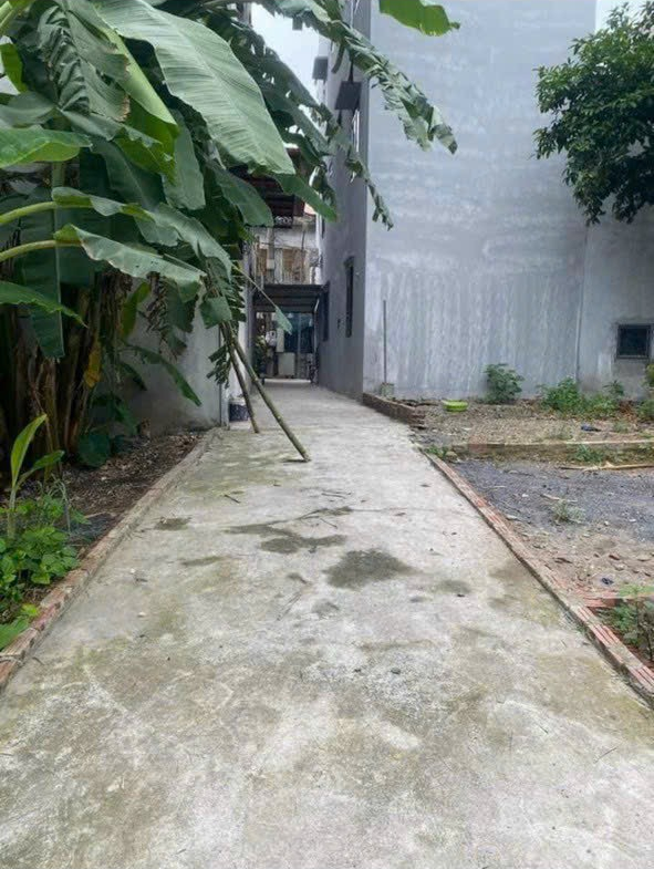 z5474004436404_8a232120970344cf0fe02b2b5952c95d